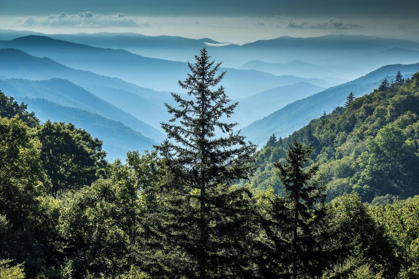 5br Smoky Hot Tub, Games, 1 Mi To Parkway Ferienhaus Pigeon Forge
