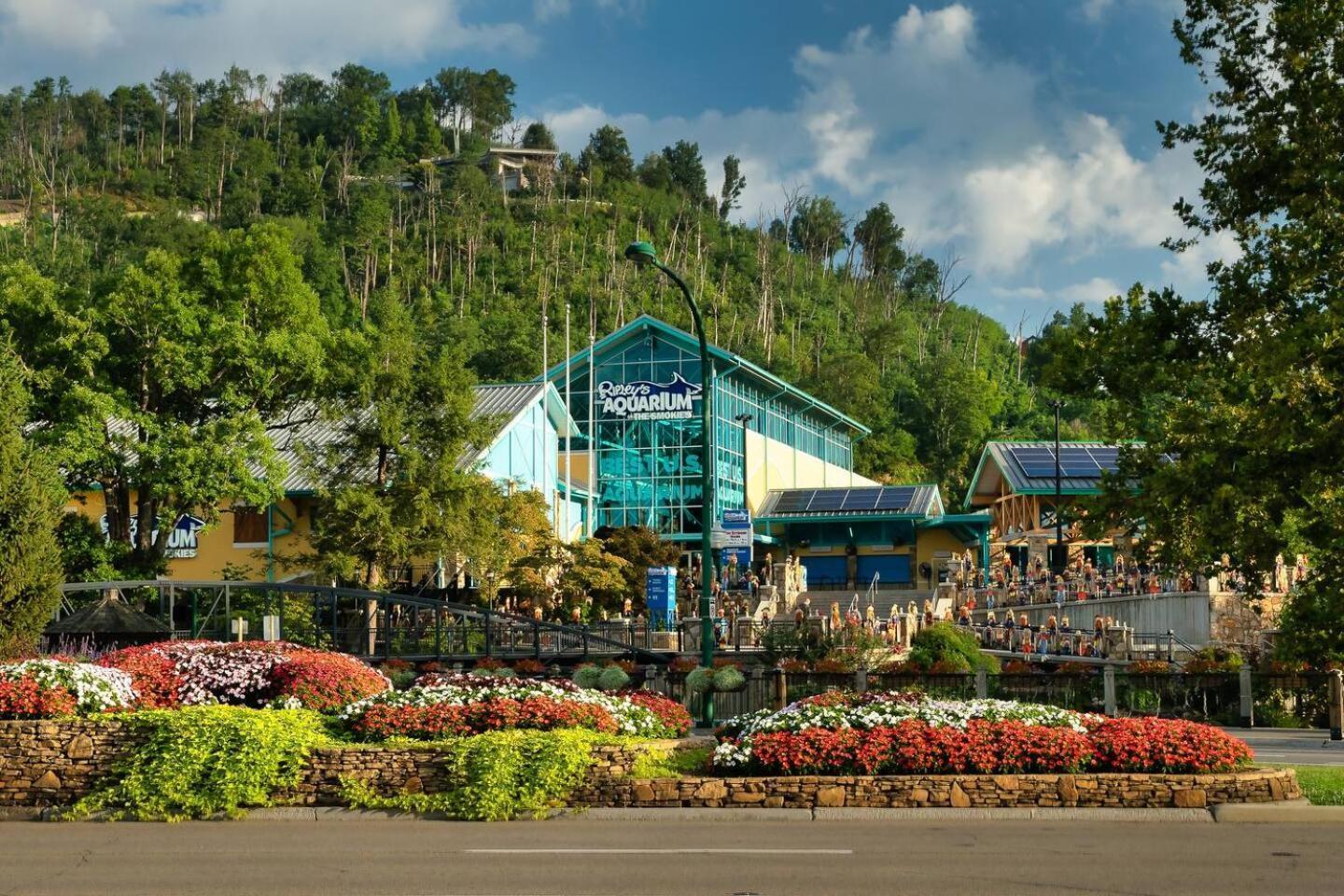 5br Smoky Hot Tub, Games, 1 Mi To Parkway Pigeon Forge